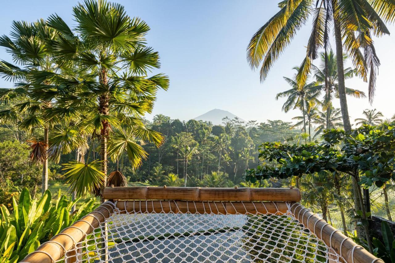 सहारा Eco Six Bali *